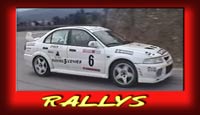 Elinks Rally&acute;s